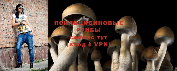 соль курить ск Алексин
