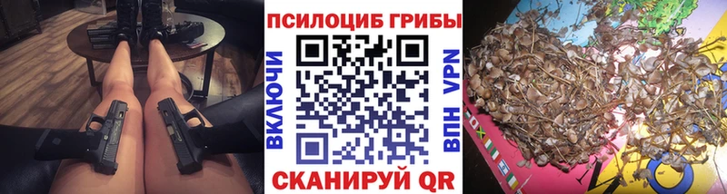 Псилоцибиновые грибы Psilocybe  купить наркотики сайты  Элиста 